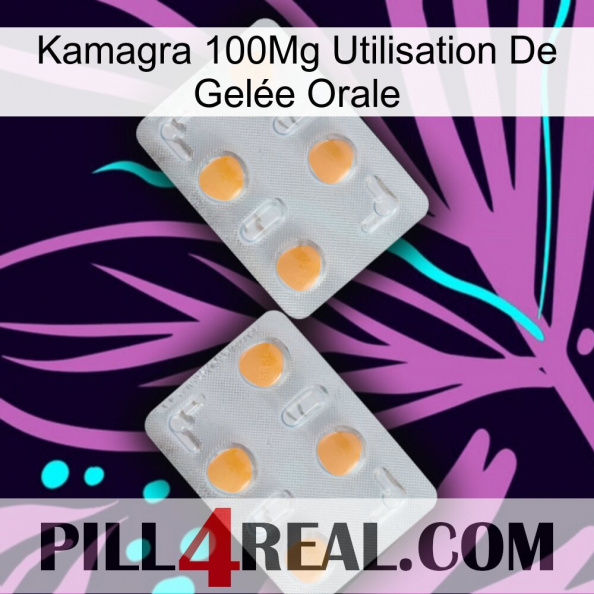 Kamagra 100Mg Utilisation De Gelée Orale 25.jpg
